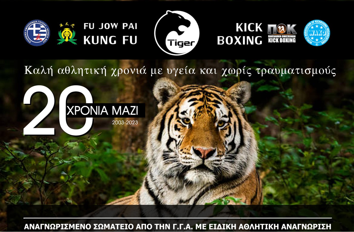 20 χρόνια tiger